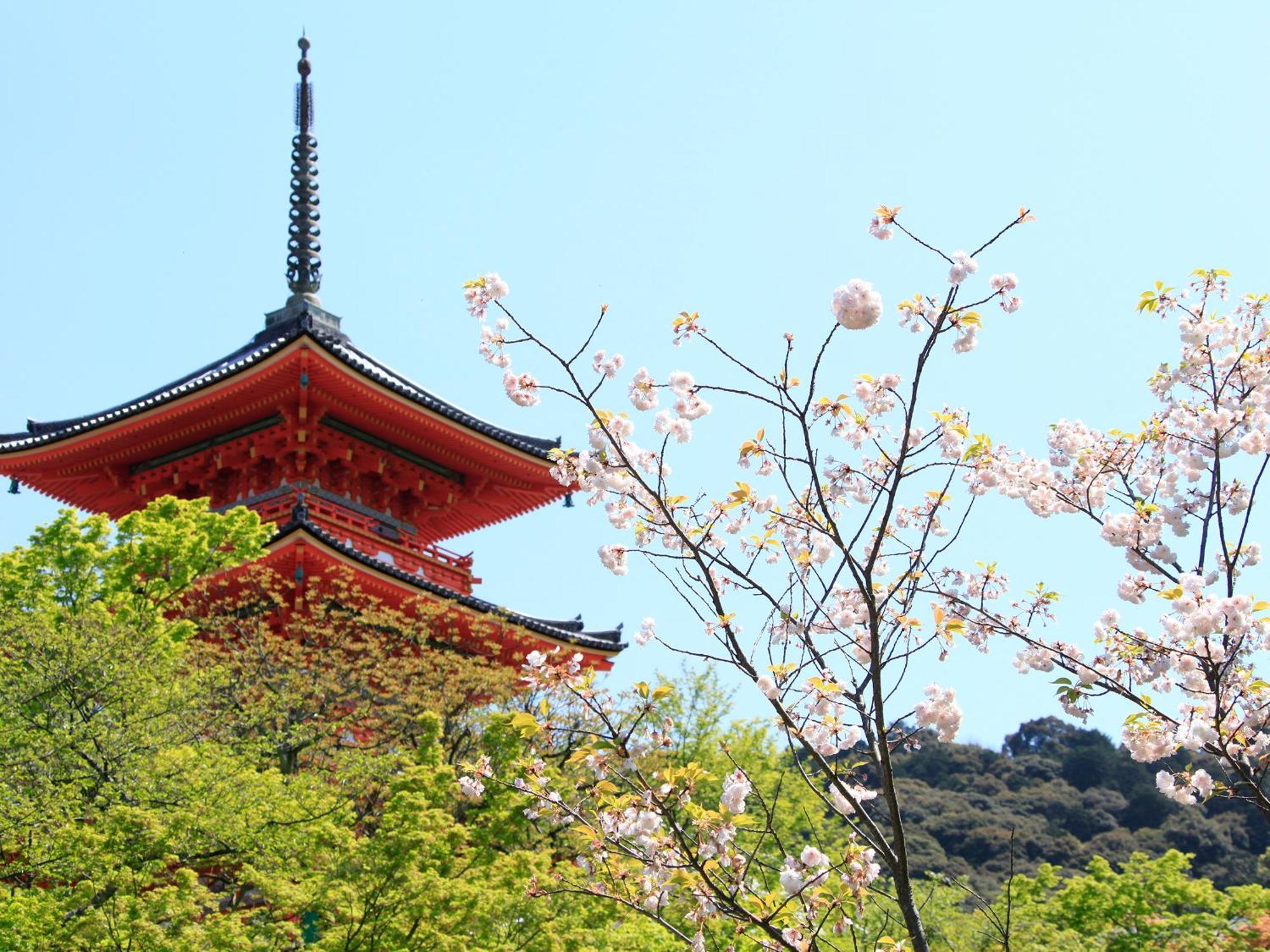 京都五条坎帕纳韦塞尔酒店 外观 照片